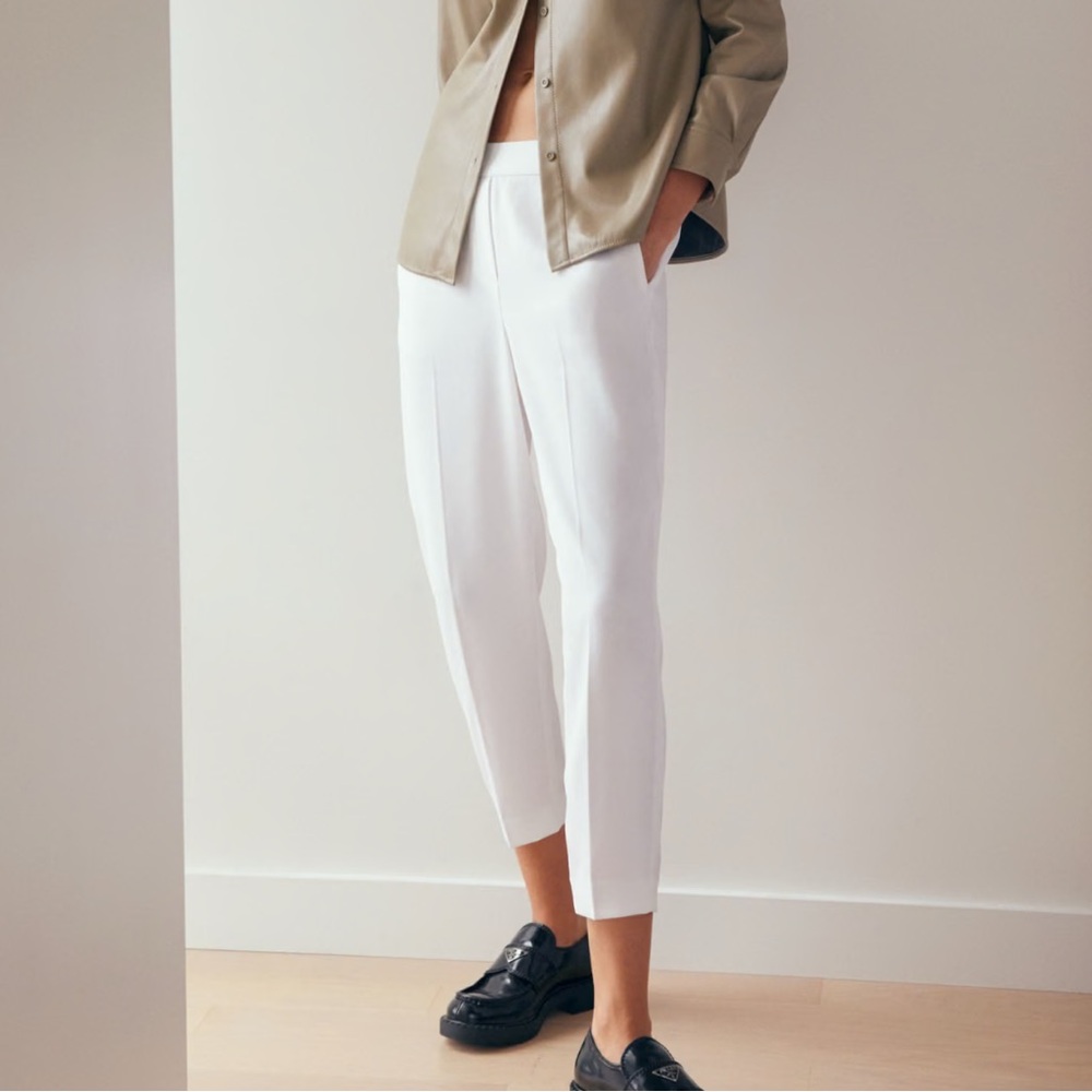 Aritzia Babaton Conan Pant
